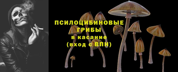 мет Покачи