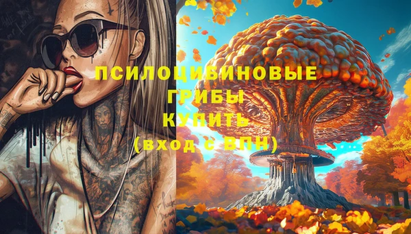 мет Покачи