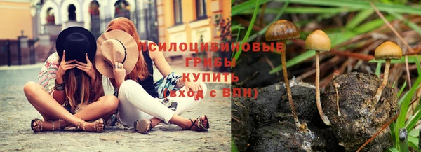 прущая мука Покровск