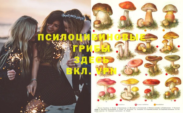 дмт Покров