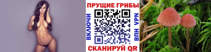 Купить  Безенчук  Галлюциногенные грибы ЛСД 